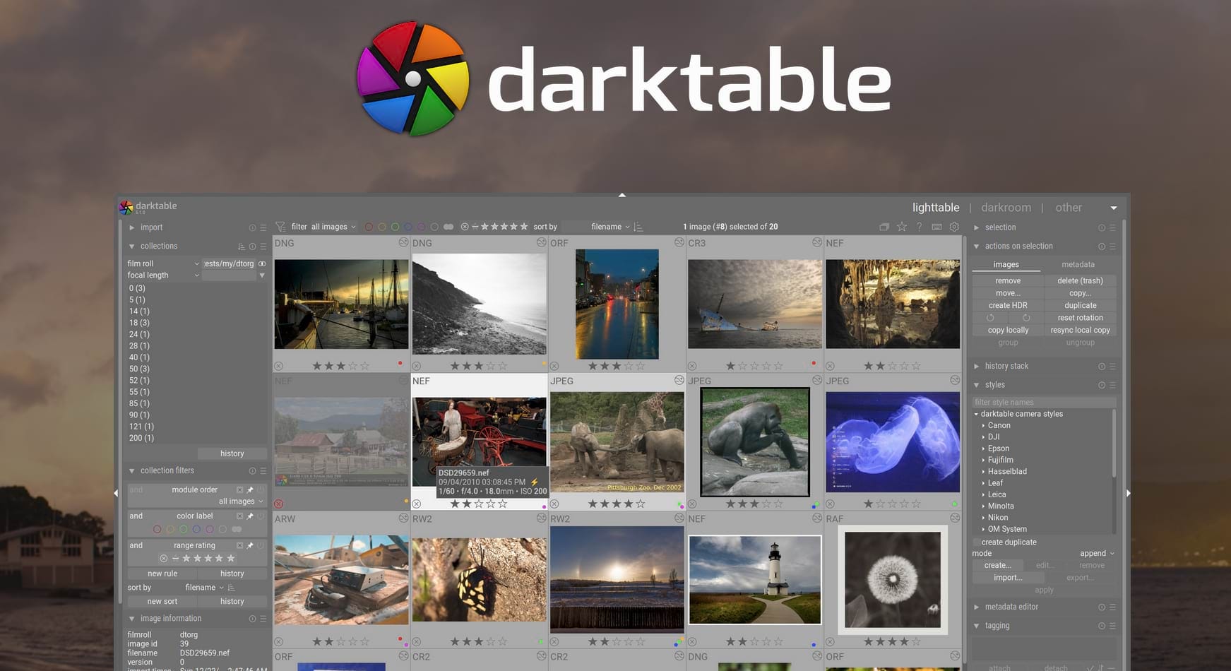 Darktable 5.4: l'editor RAW gratuito si aggiorna con nuovi strumenti per i fotografi