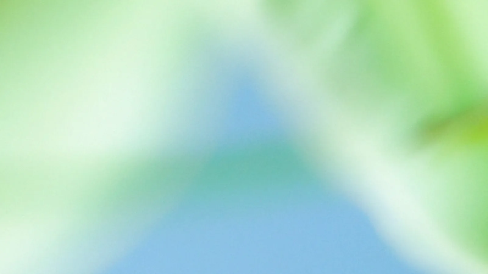 Dopo Anthropic, anche OpenAI lancia un modello AI dedicato alla sicurezza informatica difensiva